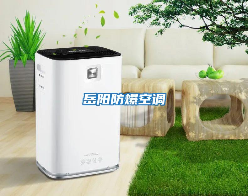 岳陽(yáng)防爆空調