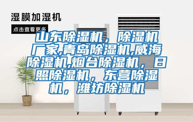 山東除濕機，除濕機廠(chǎng)家,青島除濕機,威海除濕機,煙臺除濕機，日照除濕機，東營(yíng)除濕機，濰坊除濕機