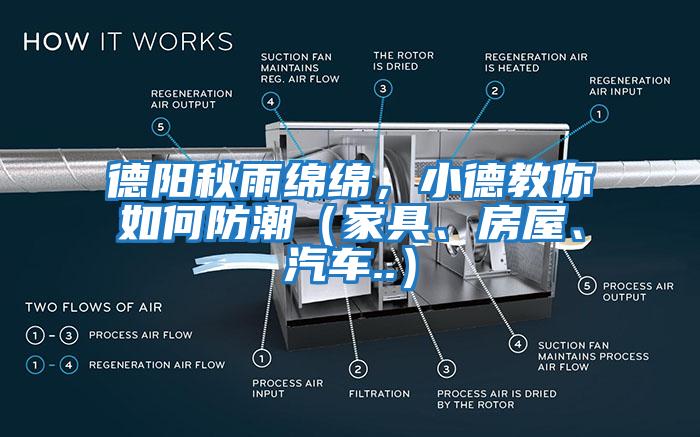 德陽(yáng)秋雨綿綿，小德教你如何防潮（家具、房屋、汽車(chē)..）