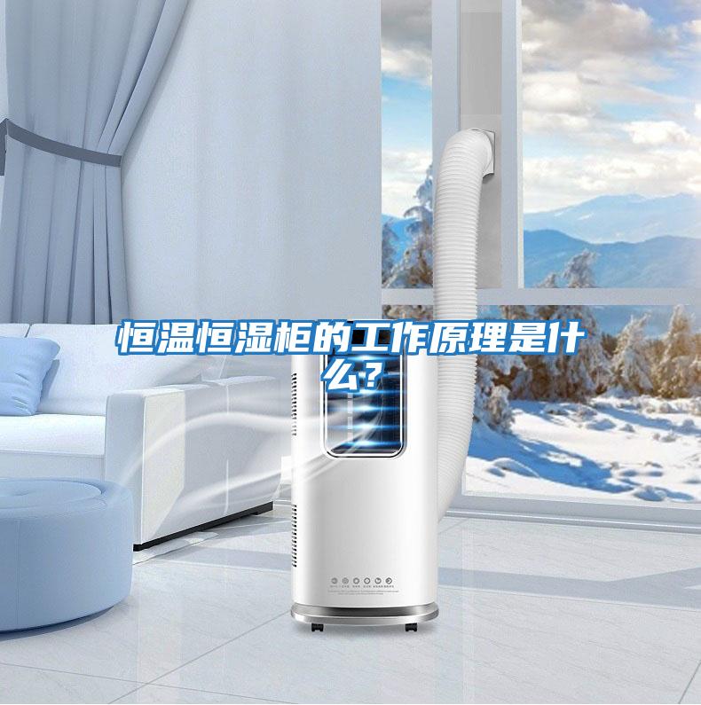 恒溫恒濕柜的工作原理是什么？