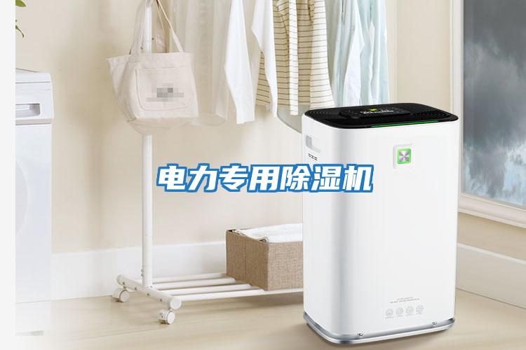 電力專(zhuān)用除濕機