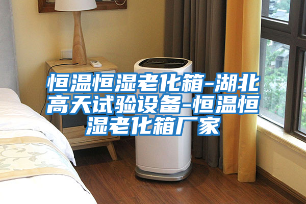 恒溫恒濕老化箱-湖北高天試驗設備-恒溫恒濕老化箱廠(chǎng)家