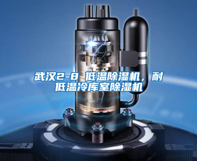 武漢2-8℃低溫除濕機，耐低溫冷庫室除濕機