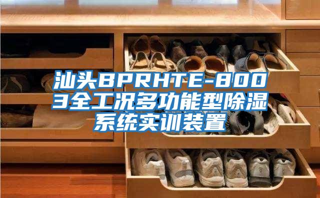 汕頭BPRHTE-8003全工況多功能型除濕系統實(shí)訓裝置