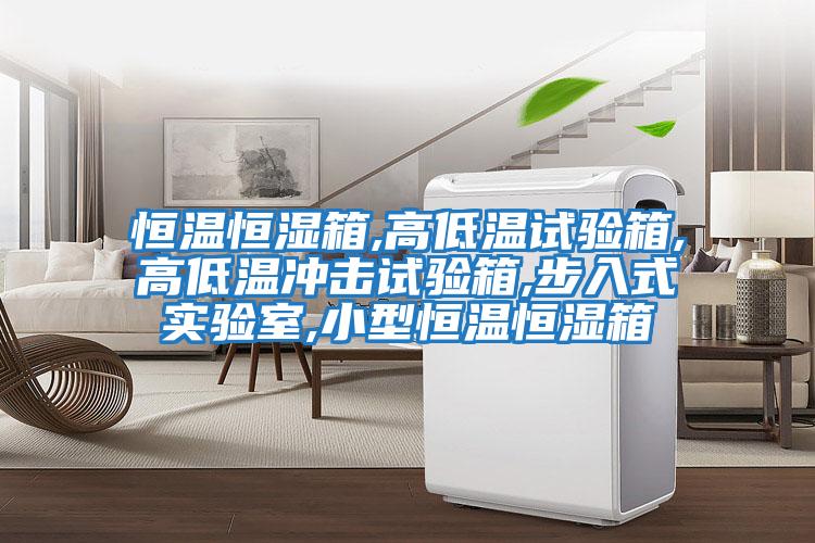 恒溫恒濕箱,高低溫試驗箱,高低溫沖擊試驗箱,步入式實(shí)驗室,小型恒溫恒濕箱