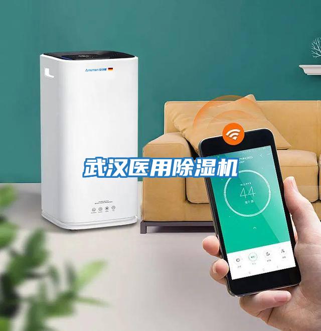 武漢醫用除濕機