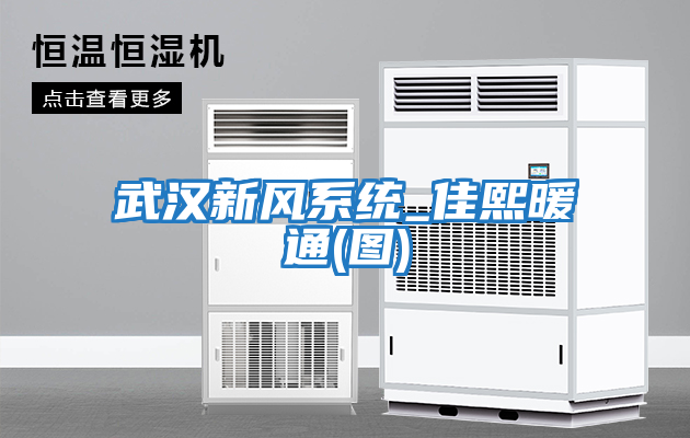 武漢新風(fēng)系統_佳熙暖通(圖)