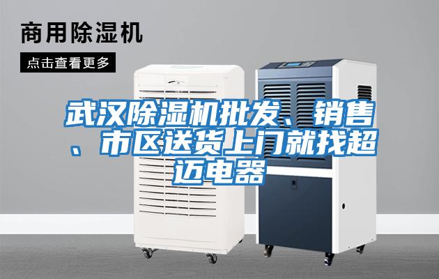 武漢除濕機批發(fā)、銷(xiāo)售、市區送貨上門(mén)就找超邁電器