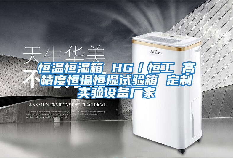 恒溫恒濕箱 HG／恒工 高精度恒溫恒濕試驗箱 定制實(shí)驗設備廠(chǎng)家