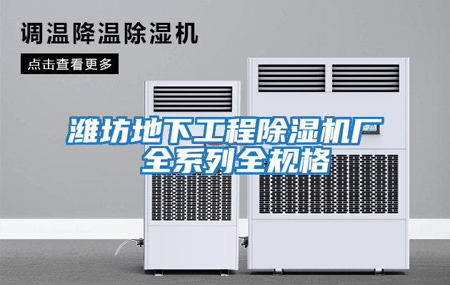 濰坊地下工程除濕機廠(chǎng) 全系列全規格