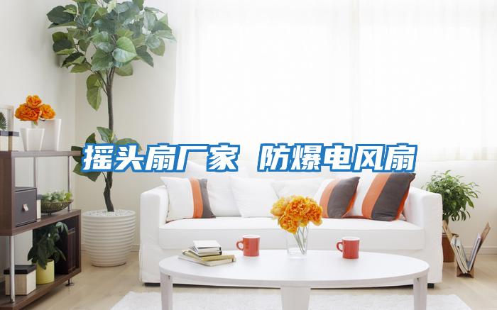 搖頭扇廠(chǎng)家 防爆電風(fēng)扇