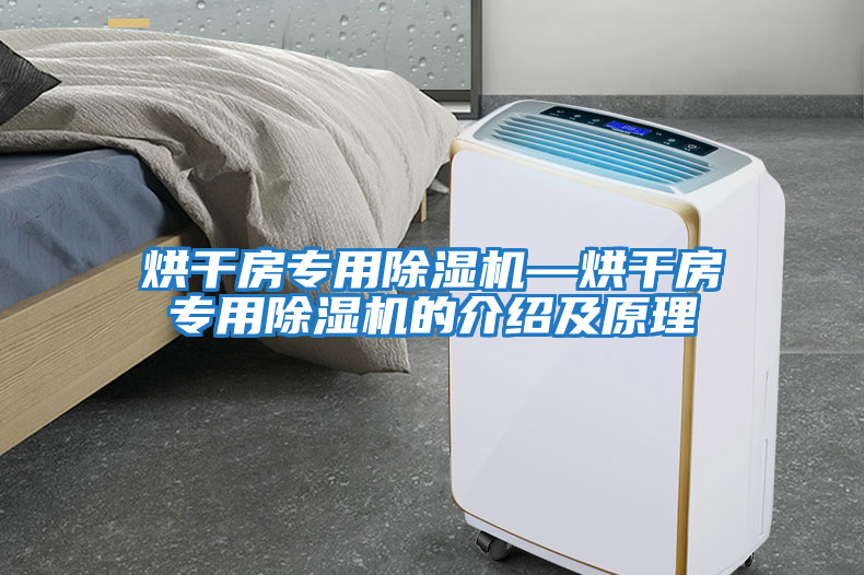 烘干房專(zhuān)用除濕機—烘干房專(zhuān)用除濕機的介紹及原理