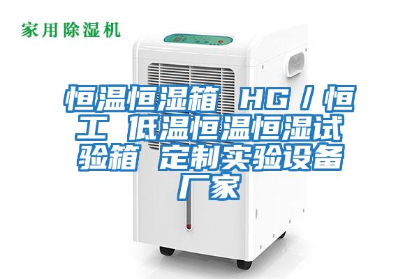 恒溫恒濕箱 HG／恒工 低溫恒溫恒濕試驗箱 定制實(shí)驗設備廠(chǎng)家