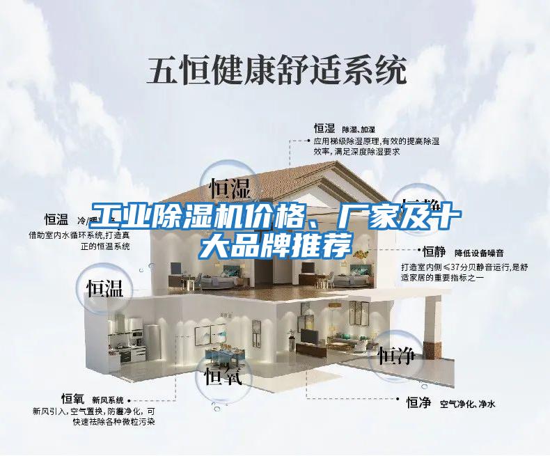 工業(yè)除濕機價(jià)格、廠(chǎng)家及十大品牌推薦