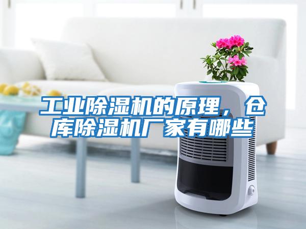 工業(yè)除濕機的原理，倉庫除濕機廠(chǎng)家有哪些