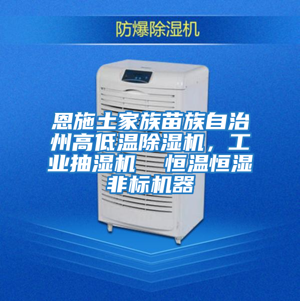 恩施土家族苗族自治州高低溫除濕機，工業(yè)抽濕機  恒溫恒濕非標機器