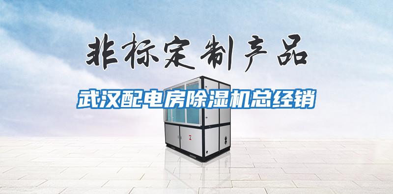 武漢配電房除濕機總經(jīng)銷(xiāo)