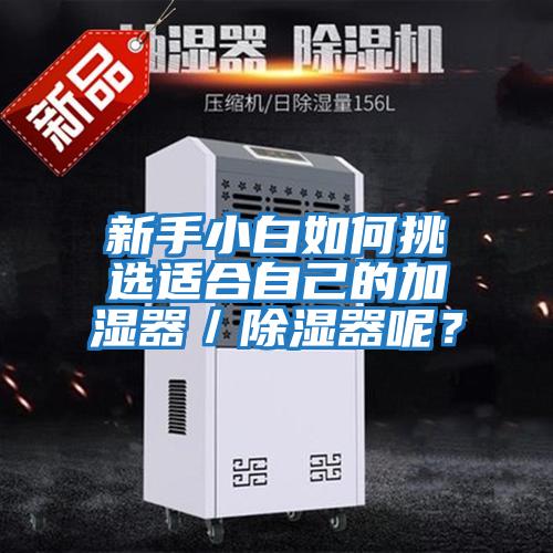 新手小白如何挑選適合自己的加濕器／除濕器呢？