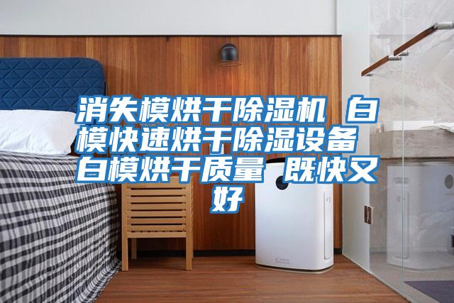 消失模烘干除濕機 白?？焖俸娓沙凉裨O備 白模烘干質(zhì)量 既快又好