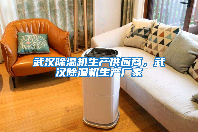 武漢除濕機生產(chǎn)供應商，武漢除濕機生產(chǎn)廠(chǎng)家
