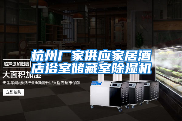 杭州廠(chǎng)家供應家居酒店浴室儲藏室除濕機