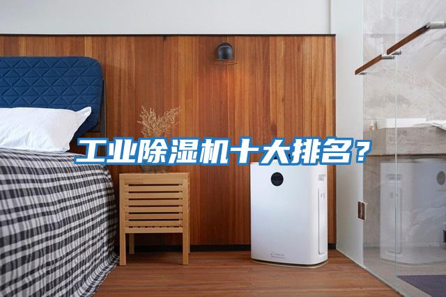 工業(yè)除濕機十大排名？