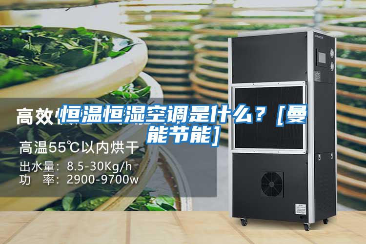 恒溫恒濕空調是什么？[曼能節能]