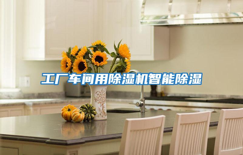 工廠(chǎng)車(chē)間用除濕機智能除濕