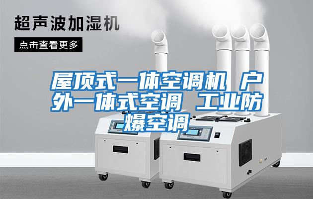 屋頂式一體空調機 戶(hù)外一體式空調 工業(yè)防爆空調