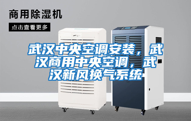 武漢中央空調安裝，武漢商用中央空調，武漢新風(fēng)換氣系統
