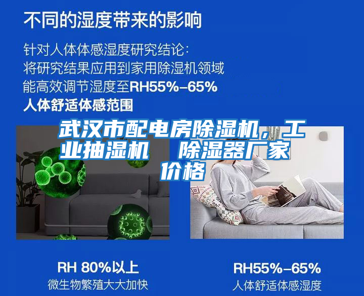 武漢市配電房除濕機，工業(yè)抽濕機  除濕器廠(chǎng)家 價(jià)格