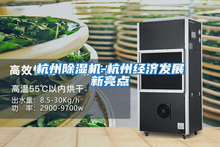 杭州除濕機-杭州經(jīng)濟發(fā)展新亮點(diǎn)