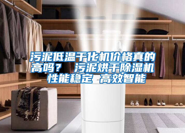 污泥低溫干化機價(jià)格真的高嗎？ 污泥烘干除濕機 性能穩定 高效智能