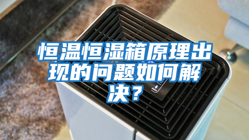 恒溫恒濕箱原理出現的問(wèn)題如何解決？