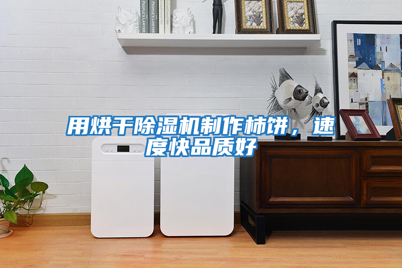 用烘干除濕機制作柿餅，速度快品質(zhì)好