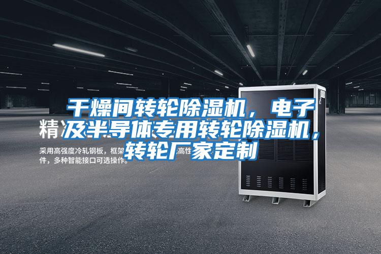 干燥間轉輪除濕機，電子及半導體專(zhuān)用轉輪除濕機，轉輪廠(chǎng)家定制