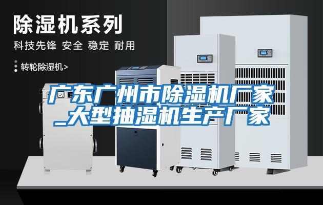 廣東廣州市除濕機廠(chǎng)家_大型抽濕機生產(chǎn)廠(chǎng)家