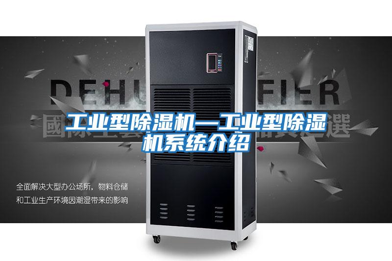 工業(yè)型除濕機—工業(yè)型除濕機系統介紹