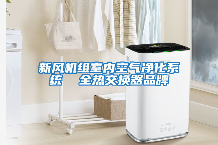 新風(fēng)機組室內空氣凈化系統  全熱交換器品牌