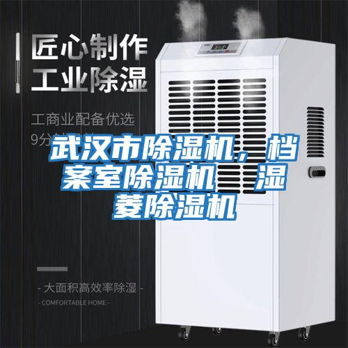武漢市除濕機，檔案室除濕機  濕菱除濕機