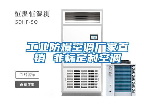 工業(yè)防爆空調廠(chǎng)家直銷(xiāo) 非標定制空調