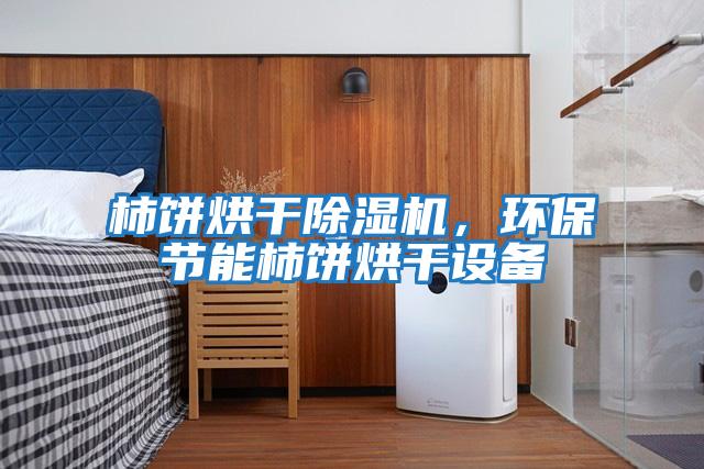 柿餅烘干除濕機，環(huán)保節能柿餅烘干設備