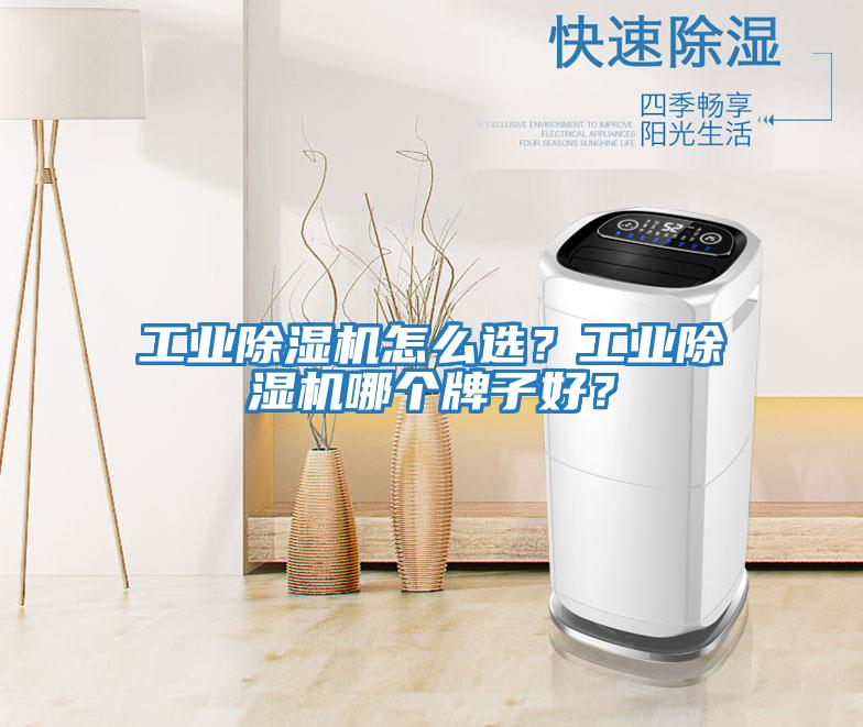 工業(yè)除濕機怎么選？工業(yè)除濕機哪個(gè)牌子好？