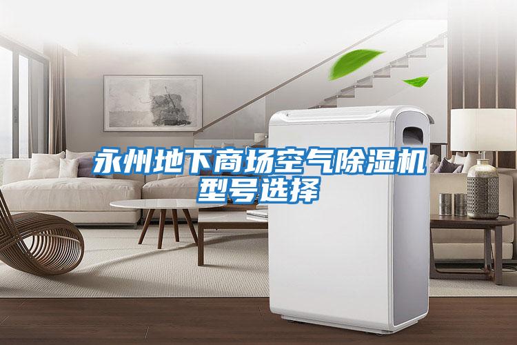 永州地下商場(chǎng)空氣除濕機型號選擇