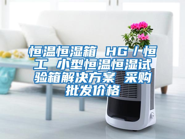 恒溫恒濕箱 HG／恒工 小型恒溫恒濕試驗箱解決方案 采購批發(fā)價(jià)格