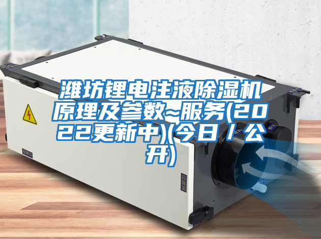 濰坊鋰電注液除濕機原理及參數~服務(wù)(2022更新中)(今日／公開(kāi))