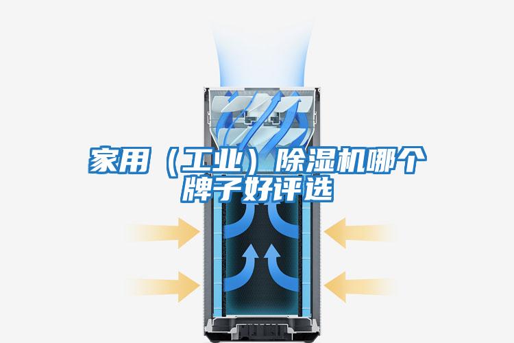 家用（工業(yè)）除濕機哪個(gè)牌子好評選