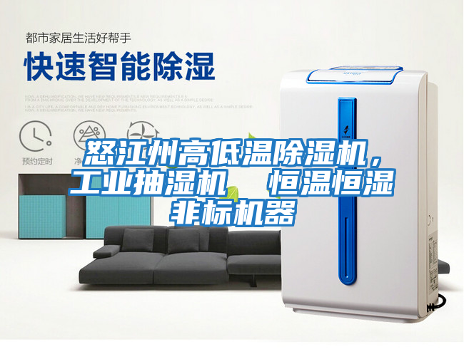 怒江州高低溫除濕機，工業(yè)抽濕機  恒溫恒濕非標機器