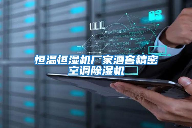 恒溫恒濕機廠(chǎng)家酒窖精密空調除濕機
