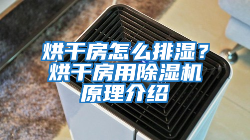 烘干房怎么排濕？烘干房用除濕機原理介紹